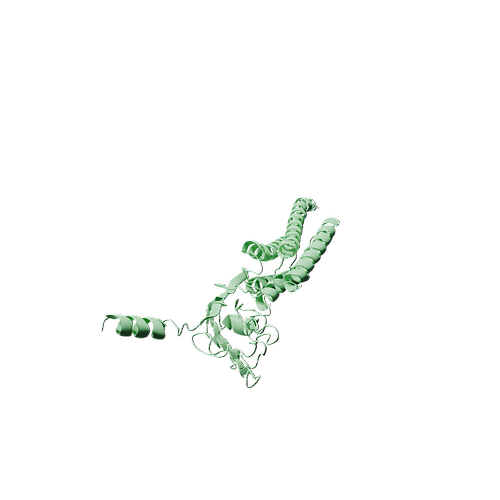 Human CD47 (C-mFc, HEK293)